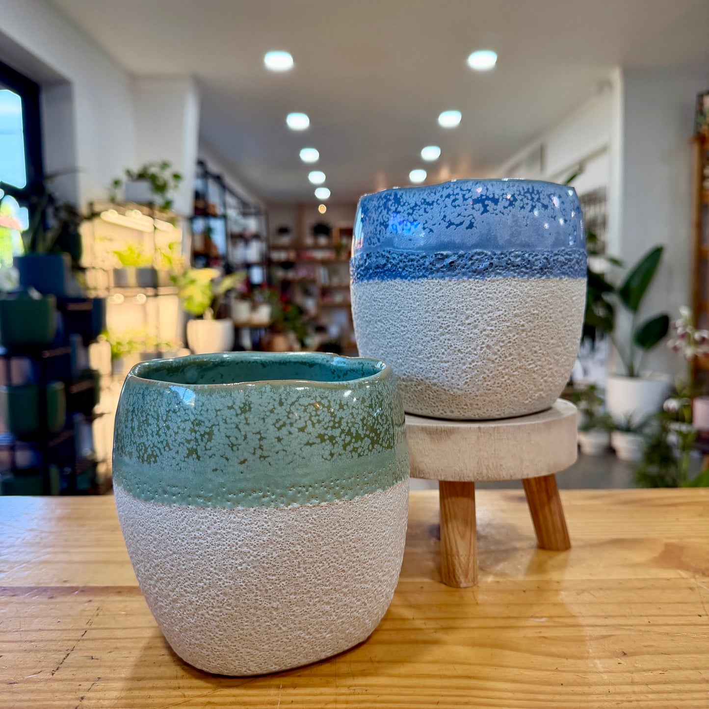 Aubree Planter