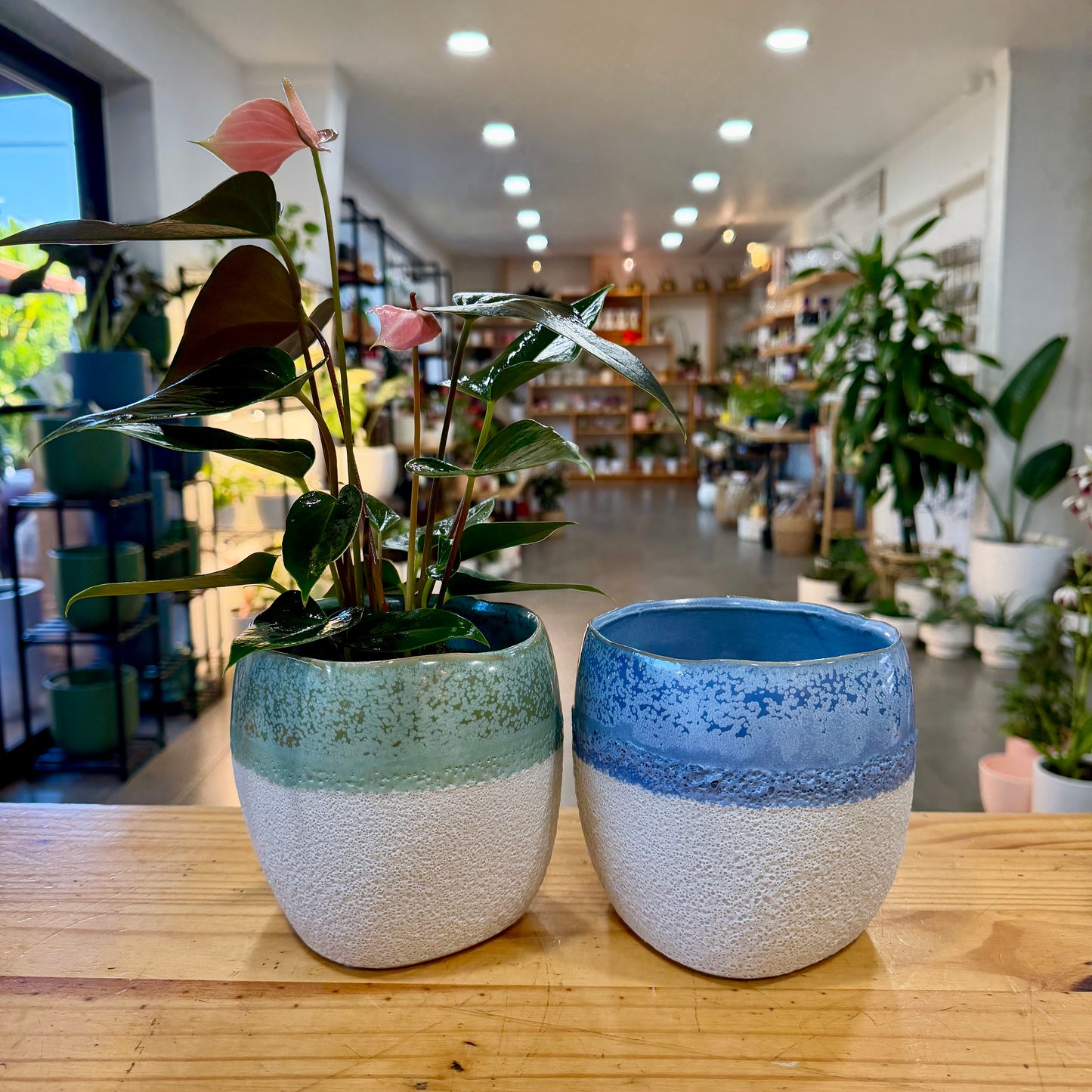 Aubree Planter