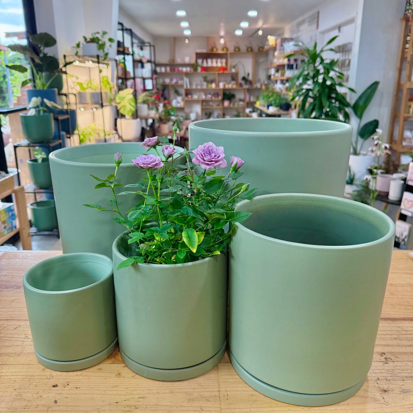 Austin Planters