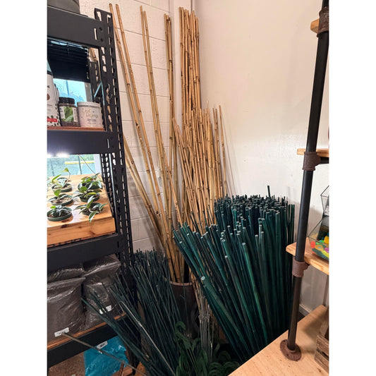 Bamboo Stakes