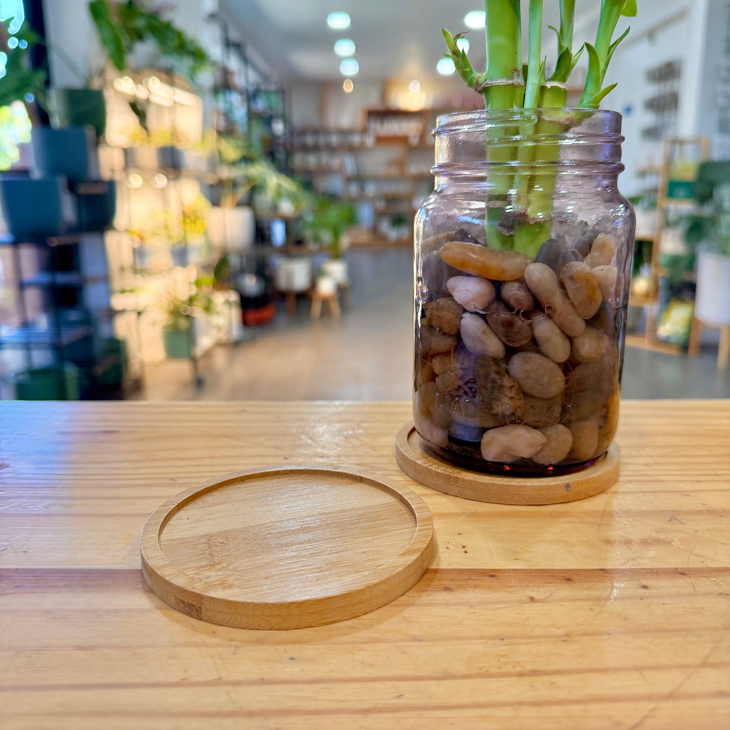Bamboo Planter Trays