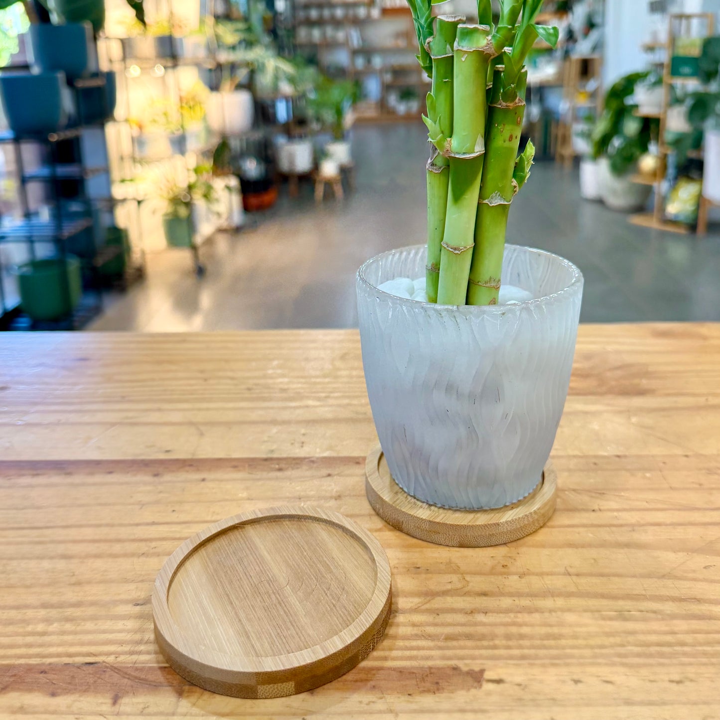 Bamboo Planter Trays