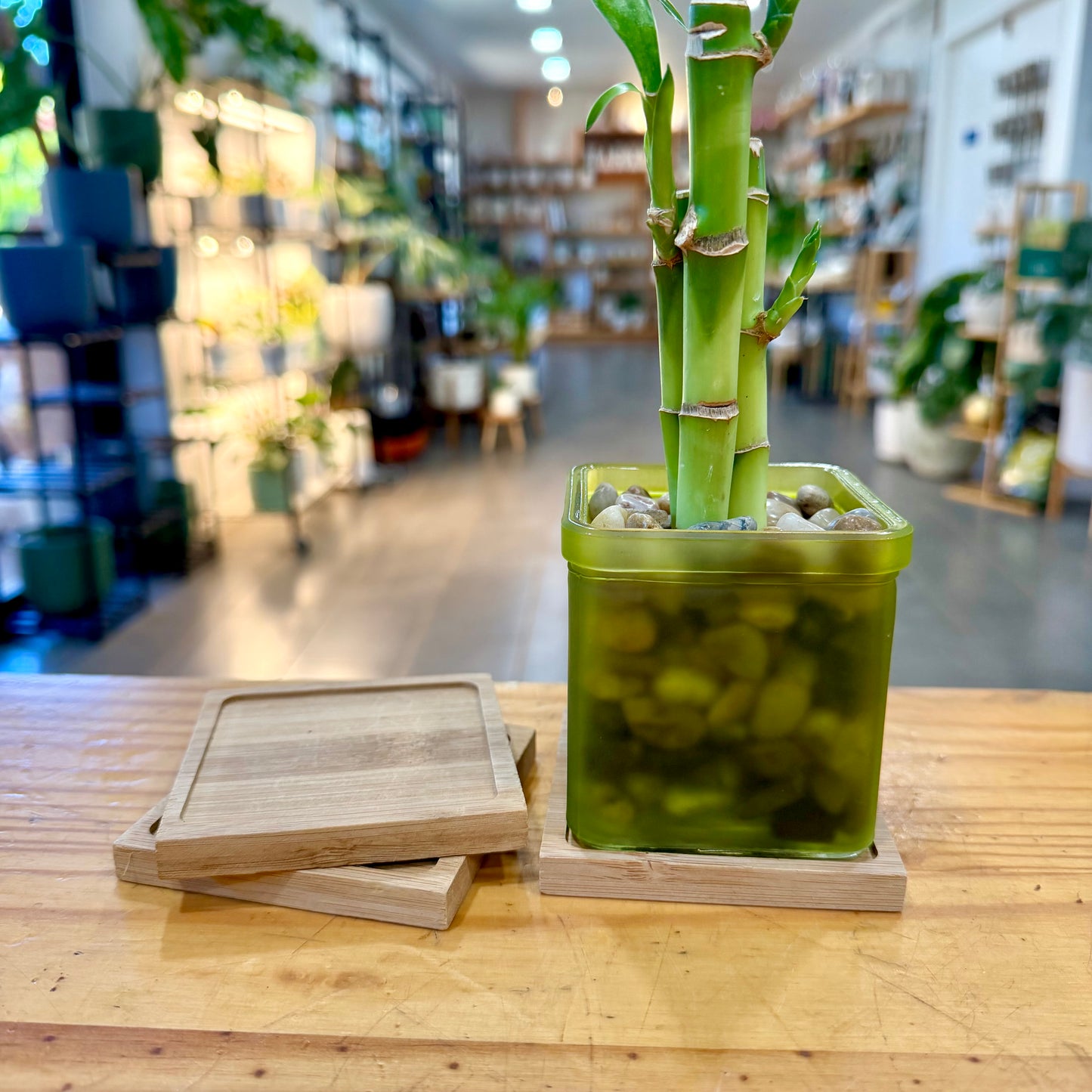 Bamboo Planter Trays