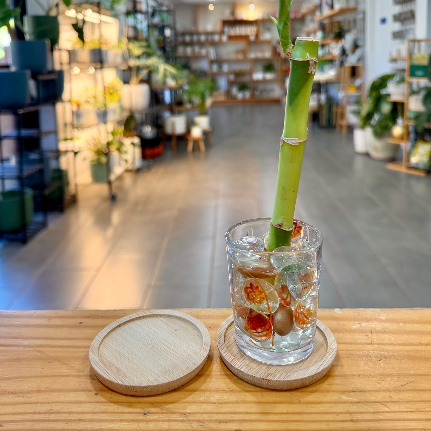 Bamboo Planter Trays