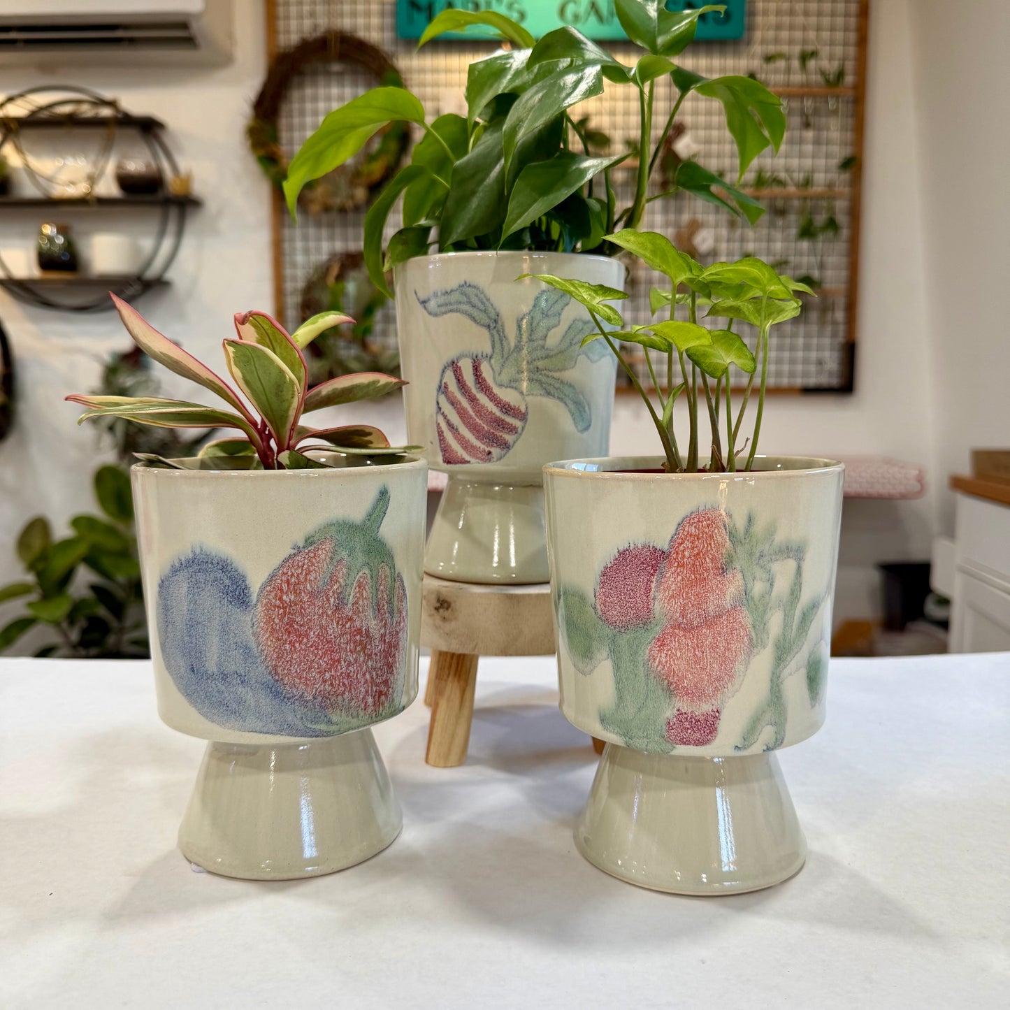 Barley Planter