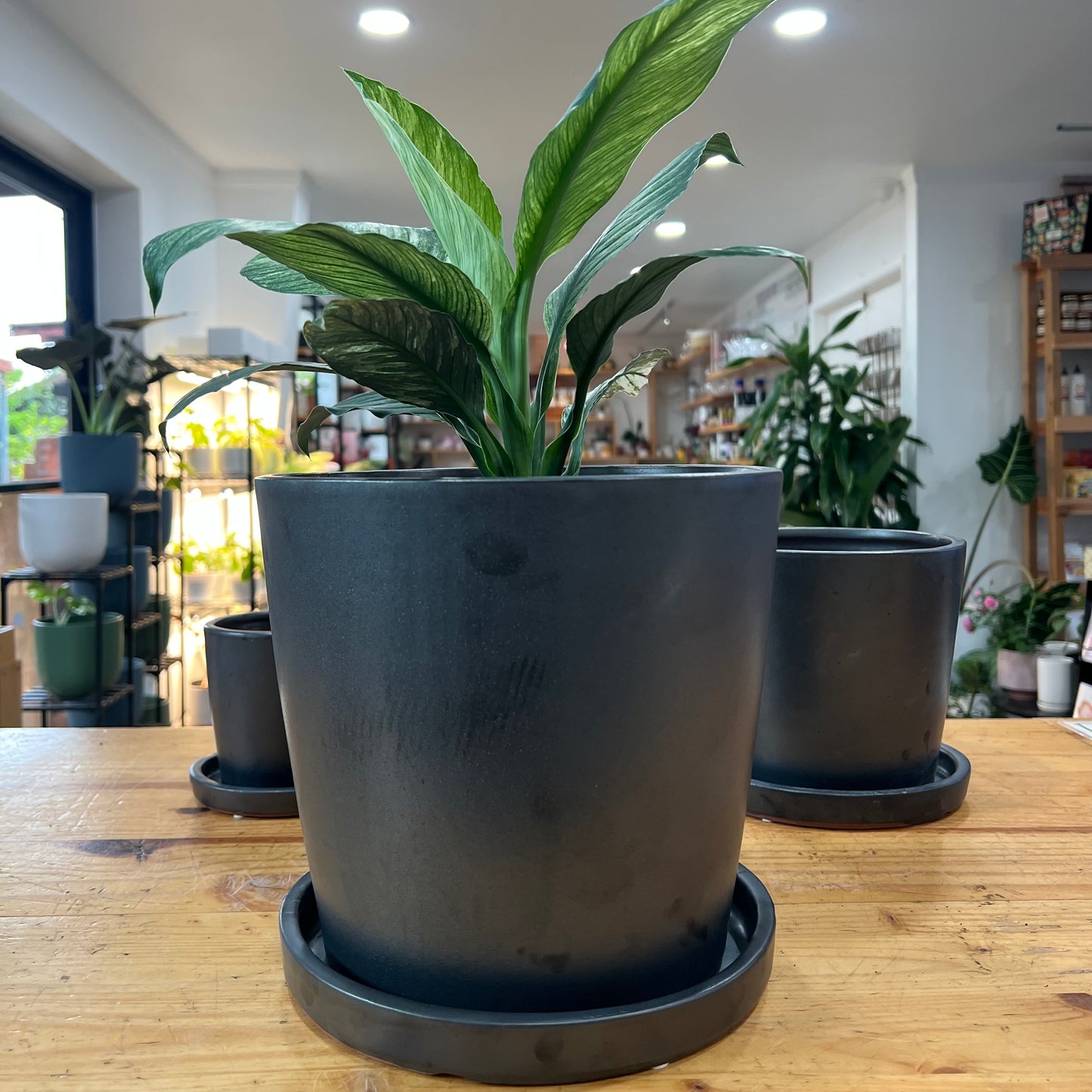 Mini Bucket Indoor Planter
