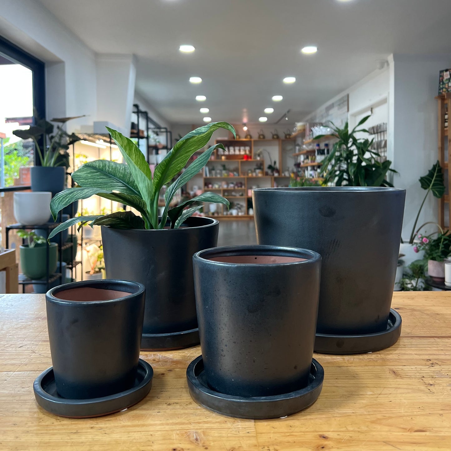 Mini Bucket Indoor Planter