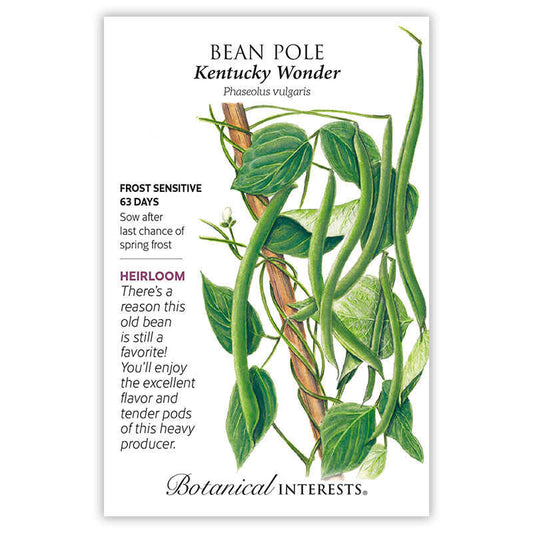 Bean Pole seeds 'Kentucky Wonder'