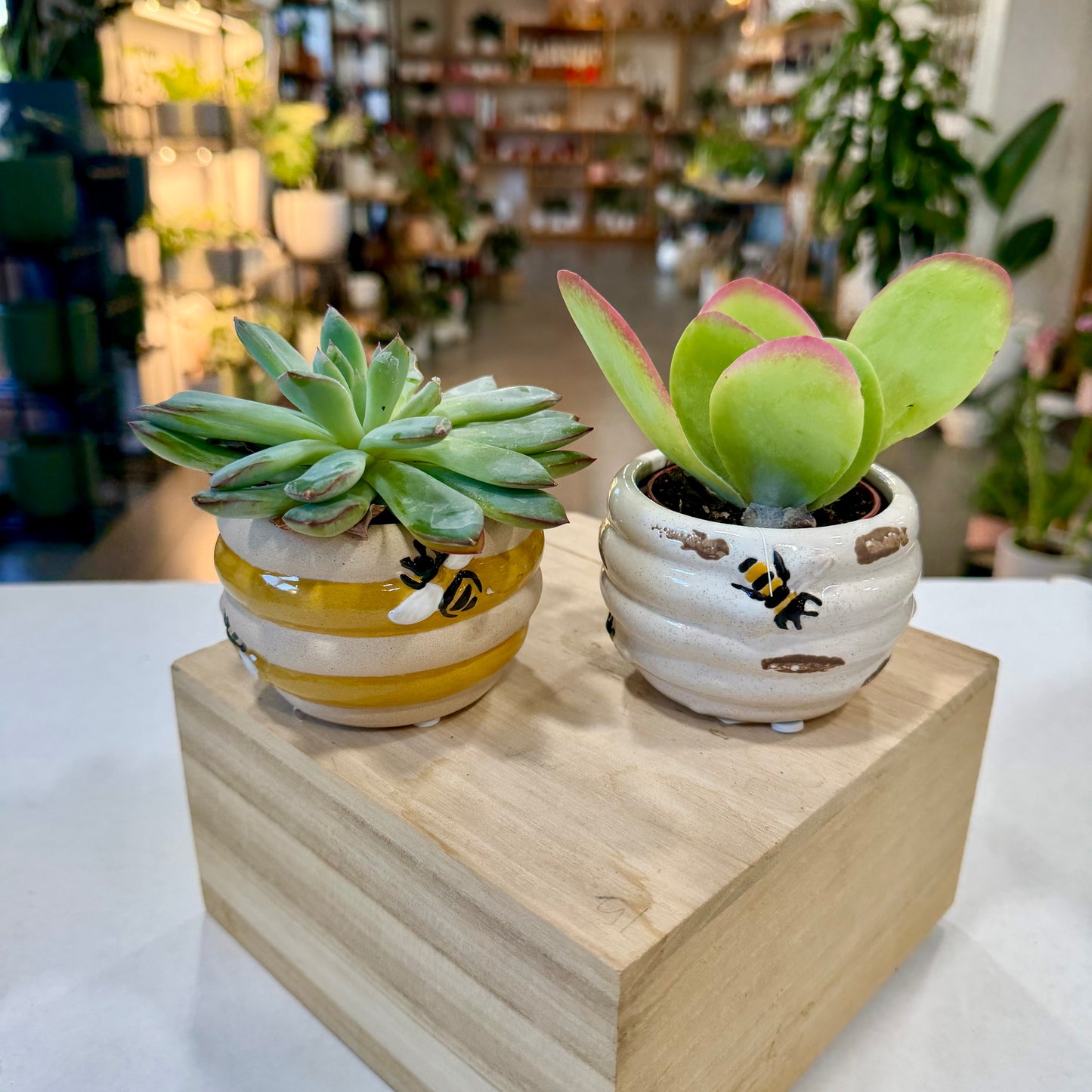Bee Hive Planters