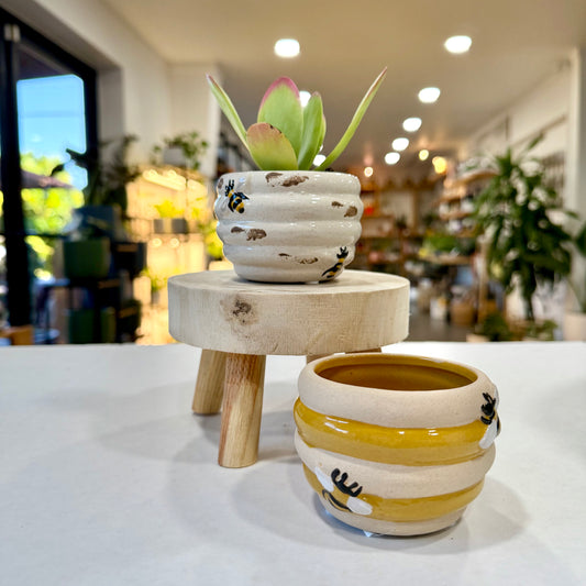 Bee Hive Planters