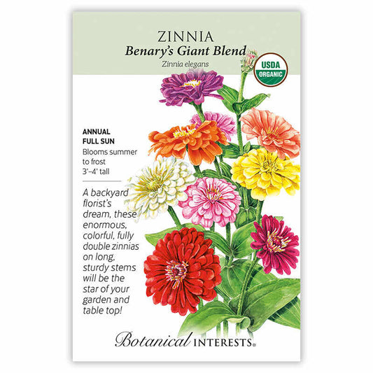 Zinnia seeds, "Benary's Giant Blend"