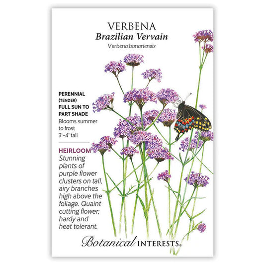 Verbena seeds, "Brazillian Vervain"