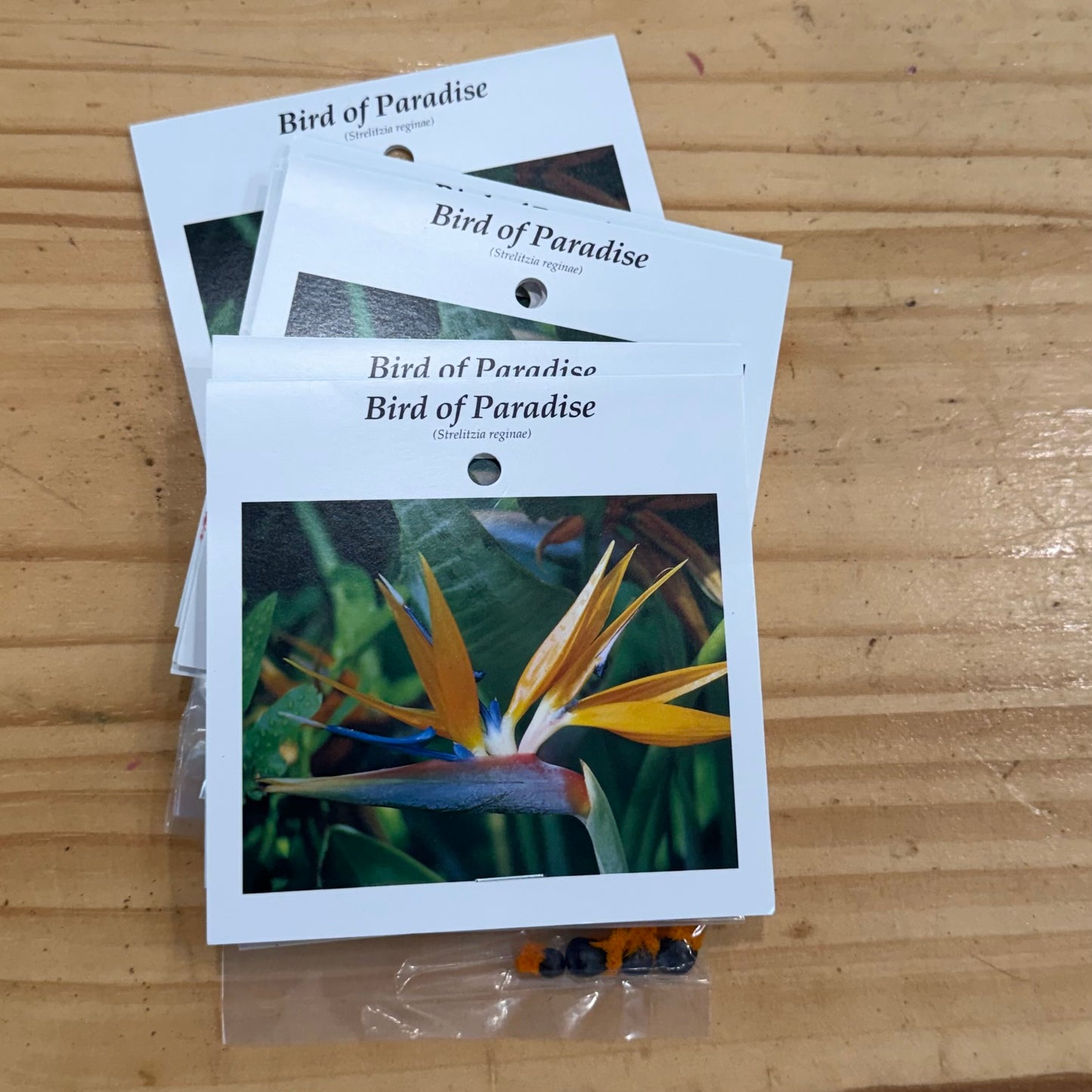 Certified - Seeds