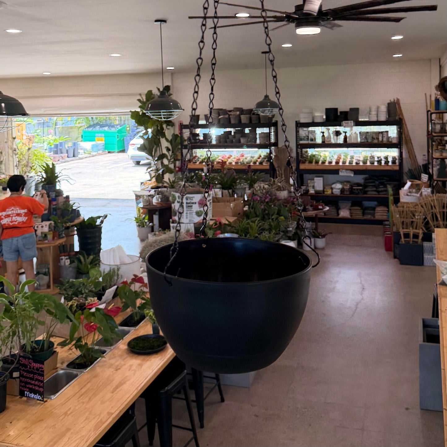 8" Self Watering Hanging Baskets
