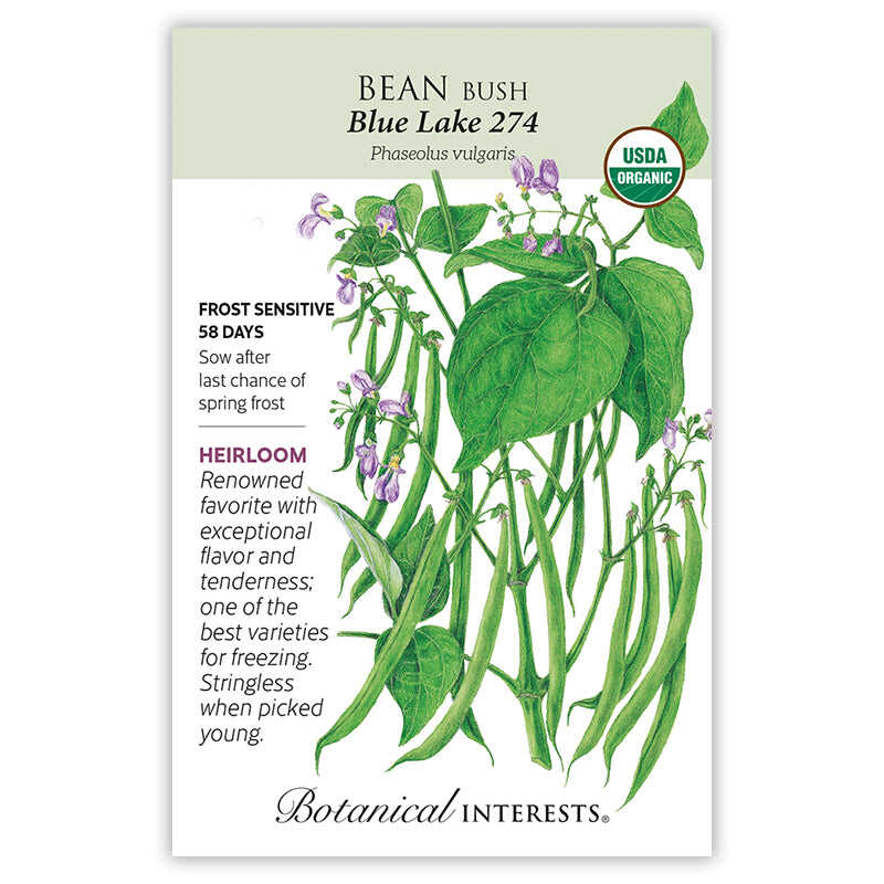Bean Bush Green seeds 'Blue Lake274'