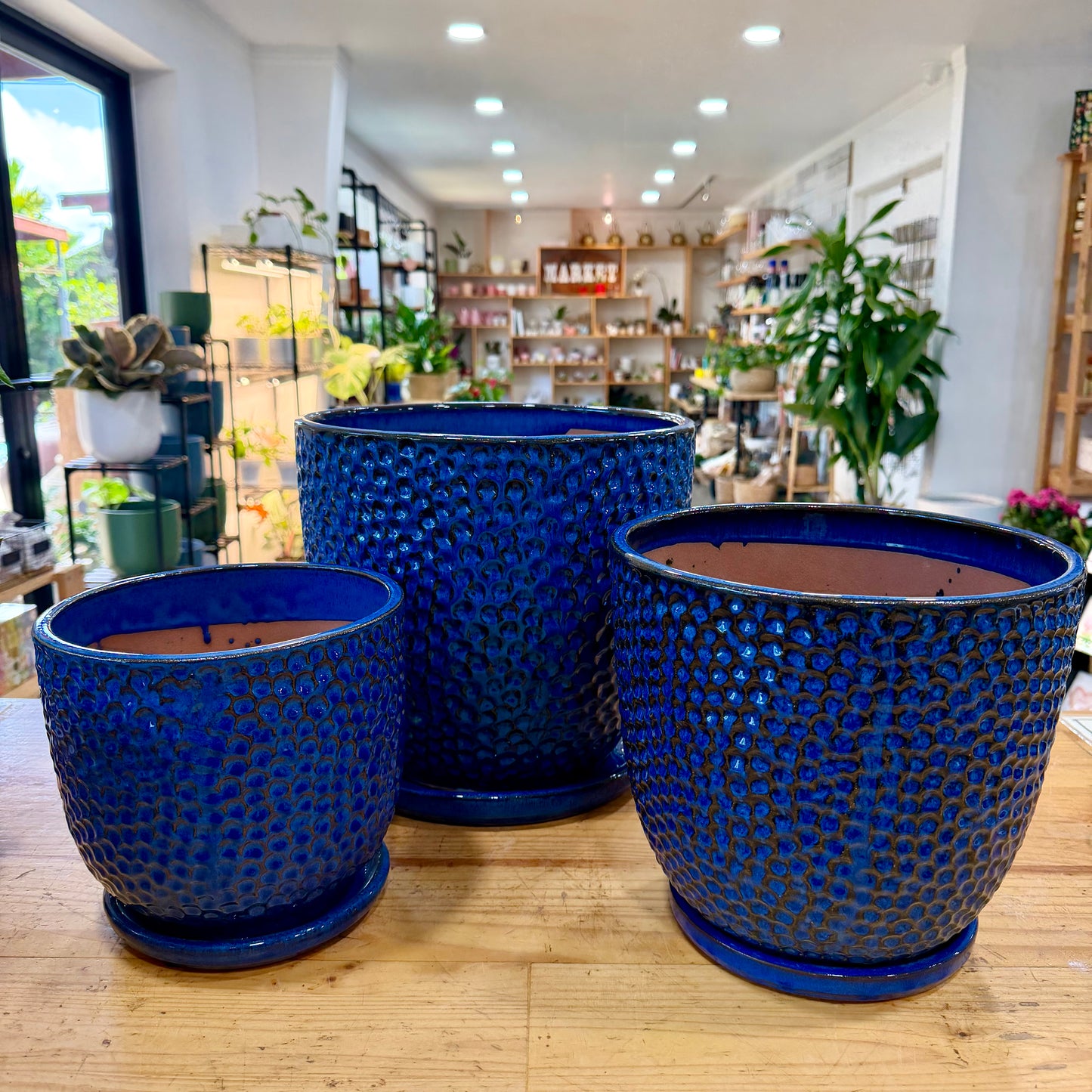 Limelight Planter