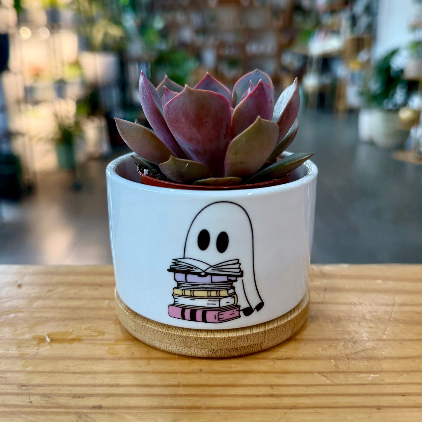 Halloween Planters