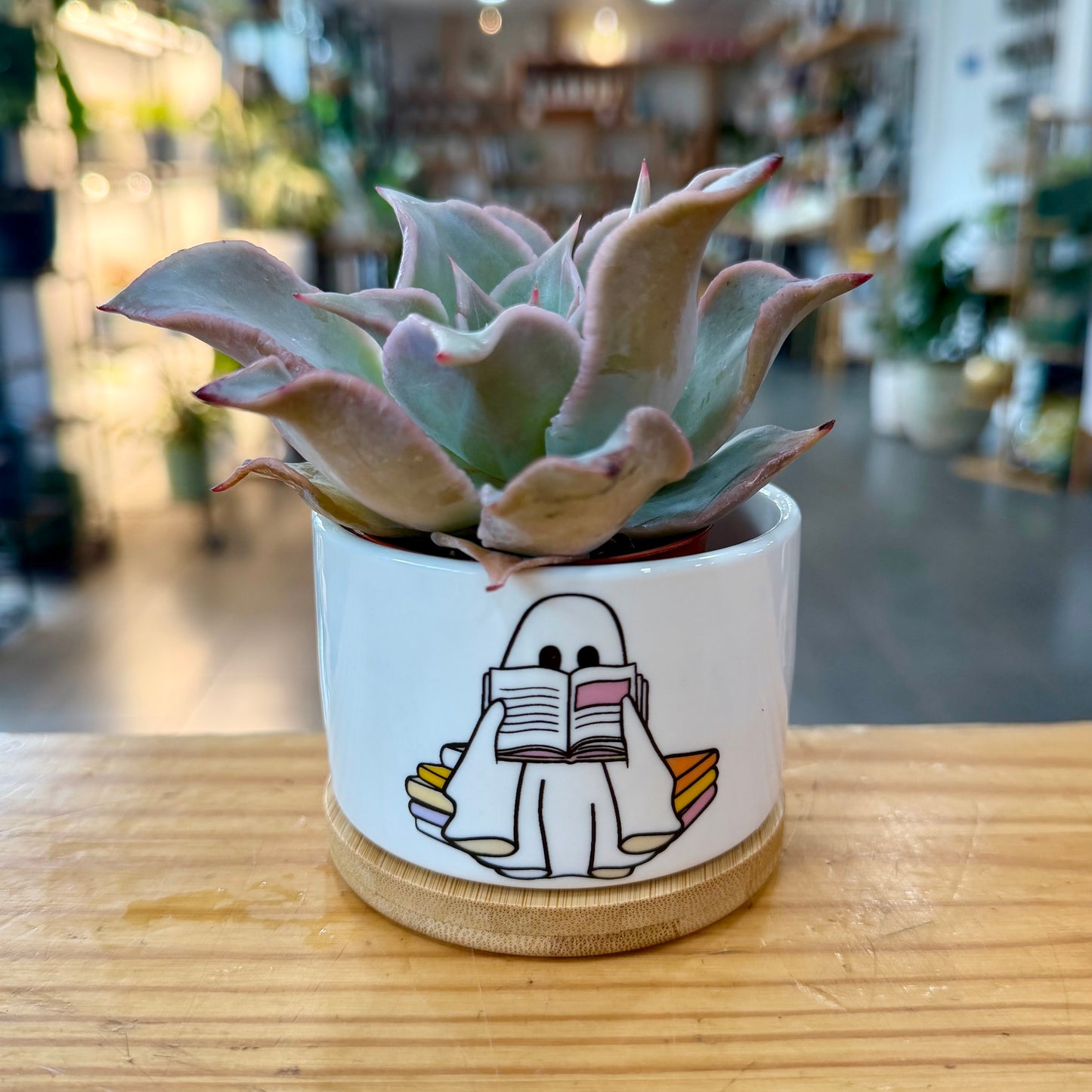 Halloween Planters