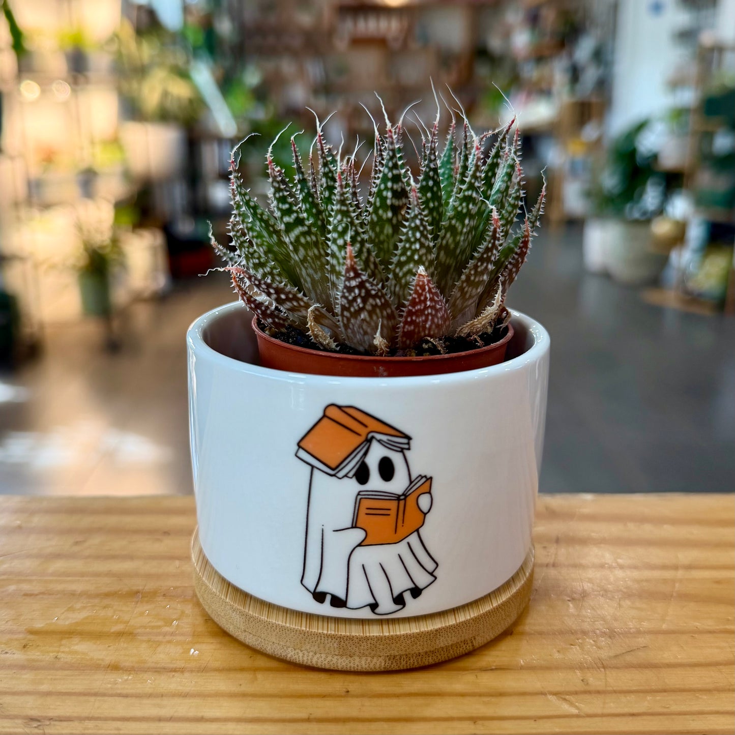 Halloween Planters