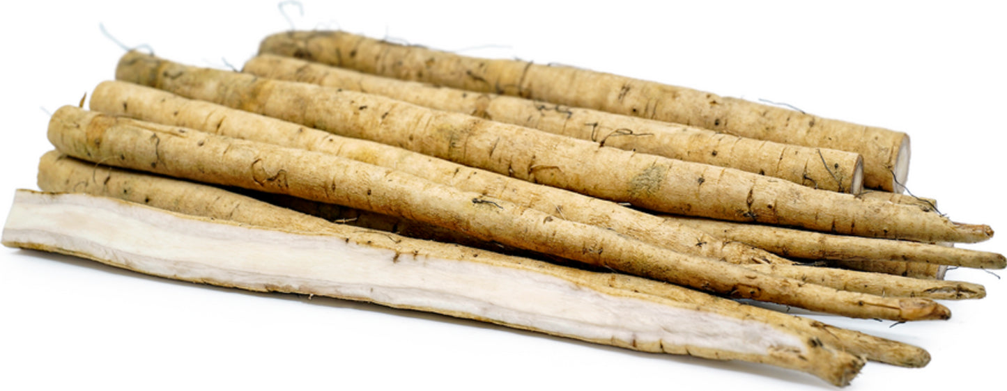 Burdock Root, Gabo, Seeds
