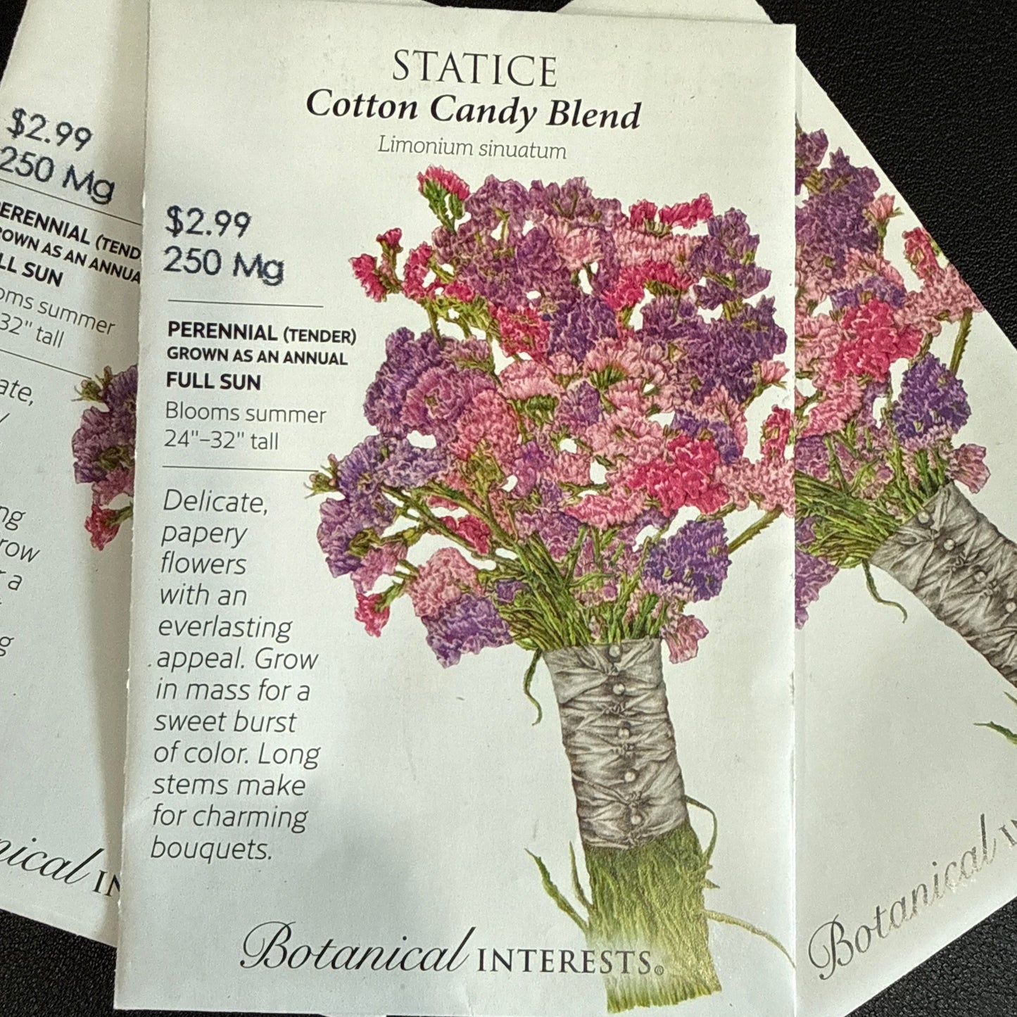 Statice seeds 'Cotton Candy Blend'