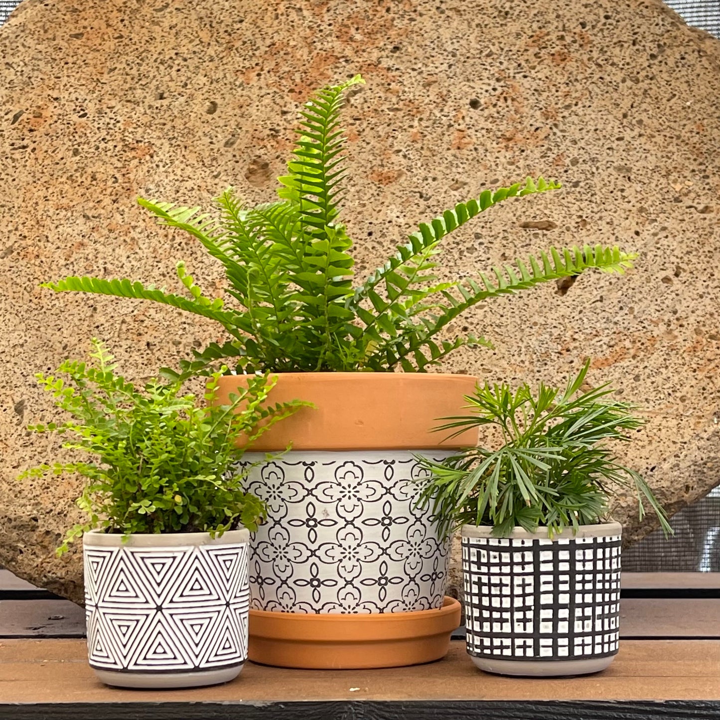 2" Terracotta Planter