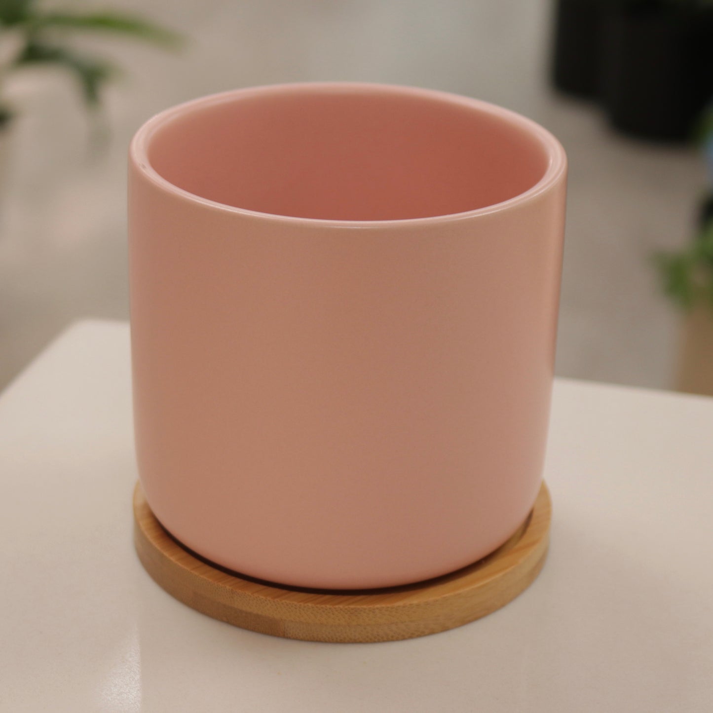 Cylindrical Ceramic Planter with Saucer