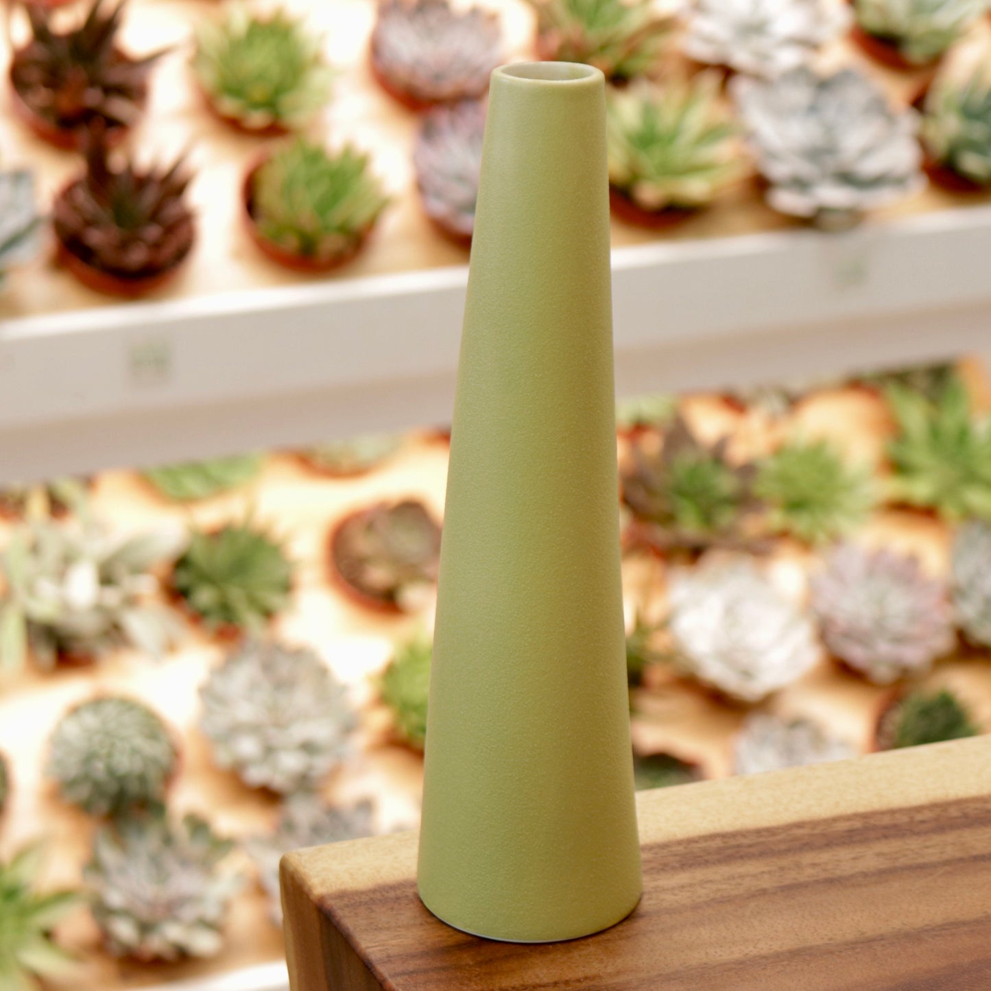 Tall Slender Ceramic Vase