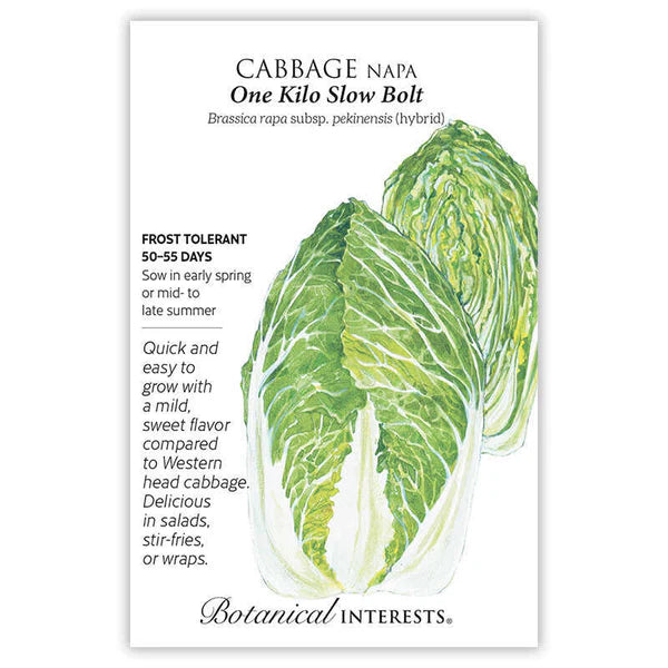 Cabbage seeds, "Napa One Kilo Hybrid"