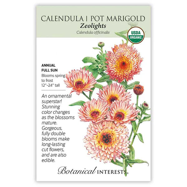 Calendula seeds, "Zeolights"