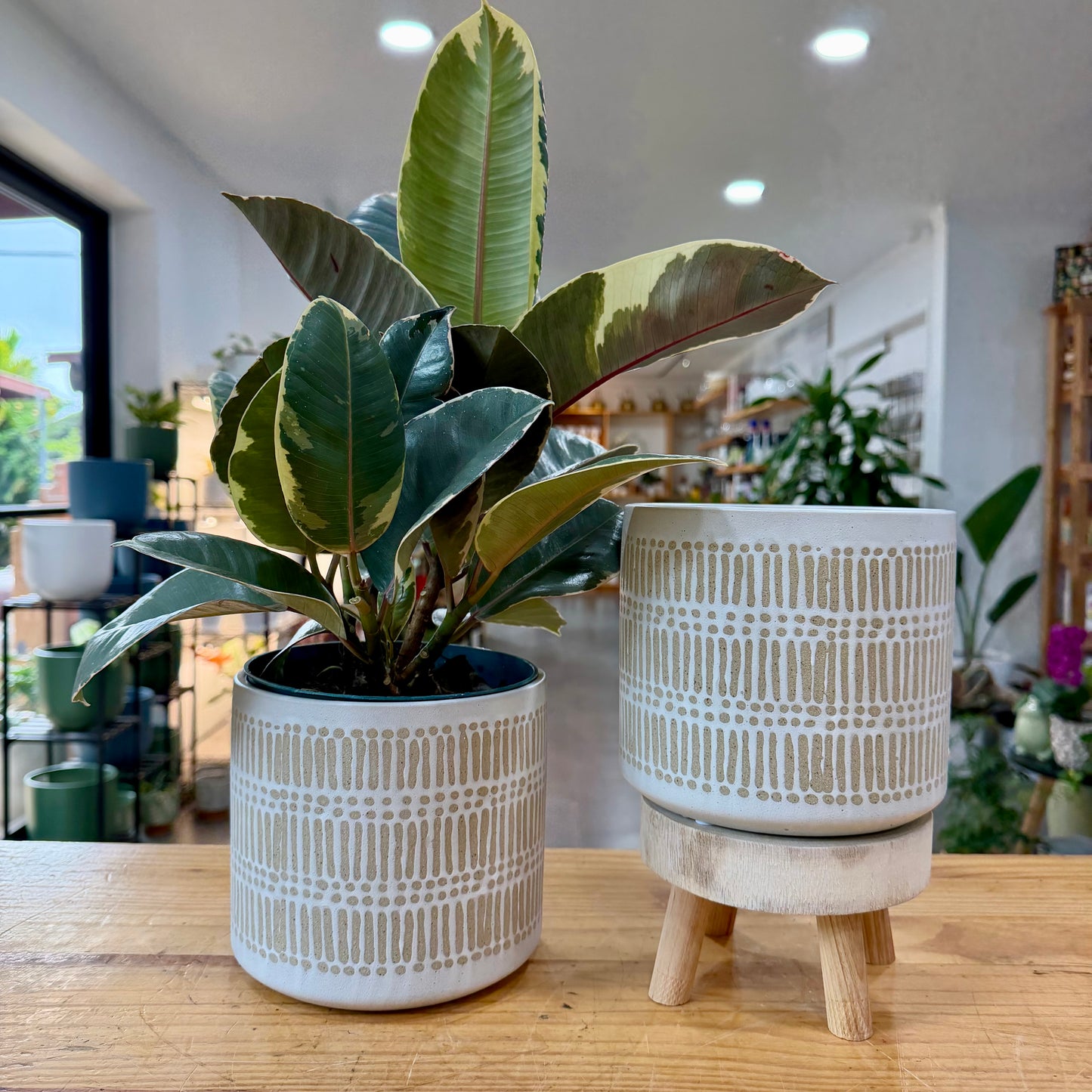 Cameron Pot