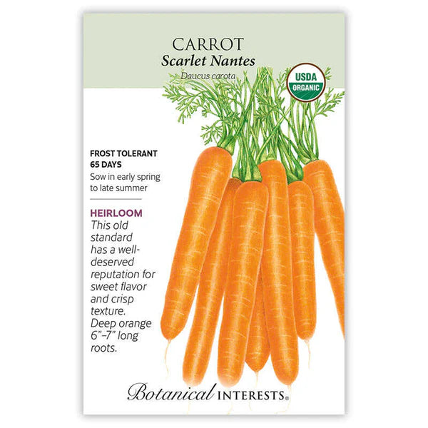 Carrot seeds, "Scarlet Nantes"