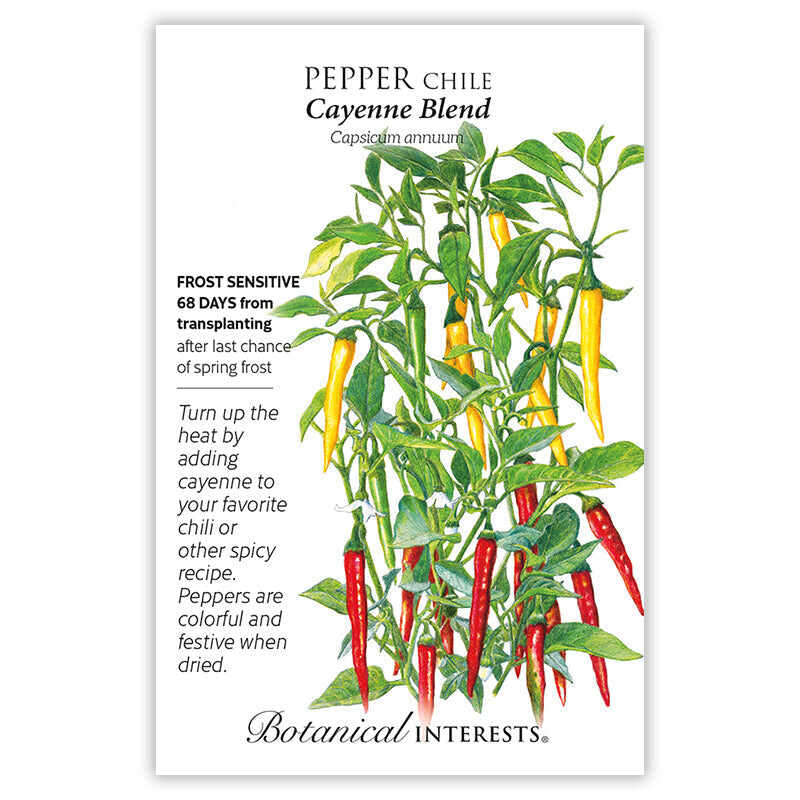 Pepper Chile seeds 'Cayenne Blend'