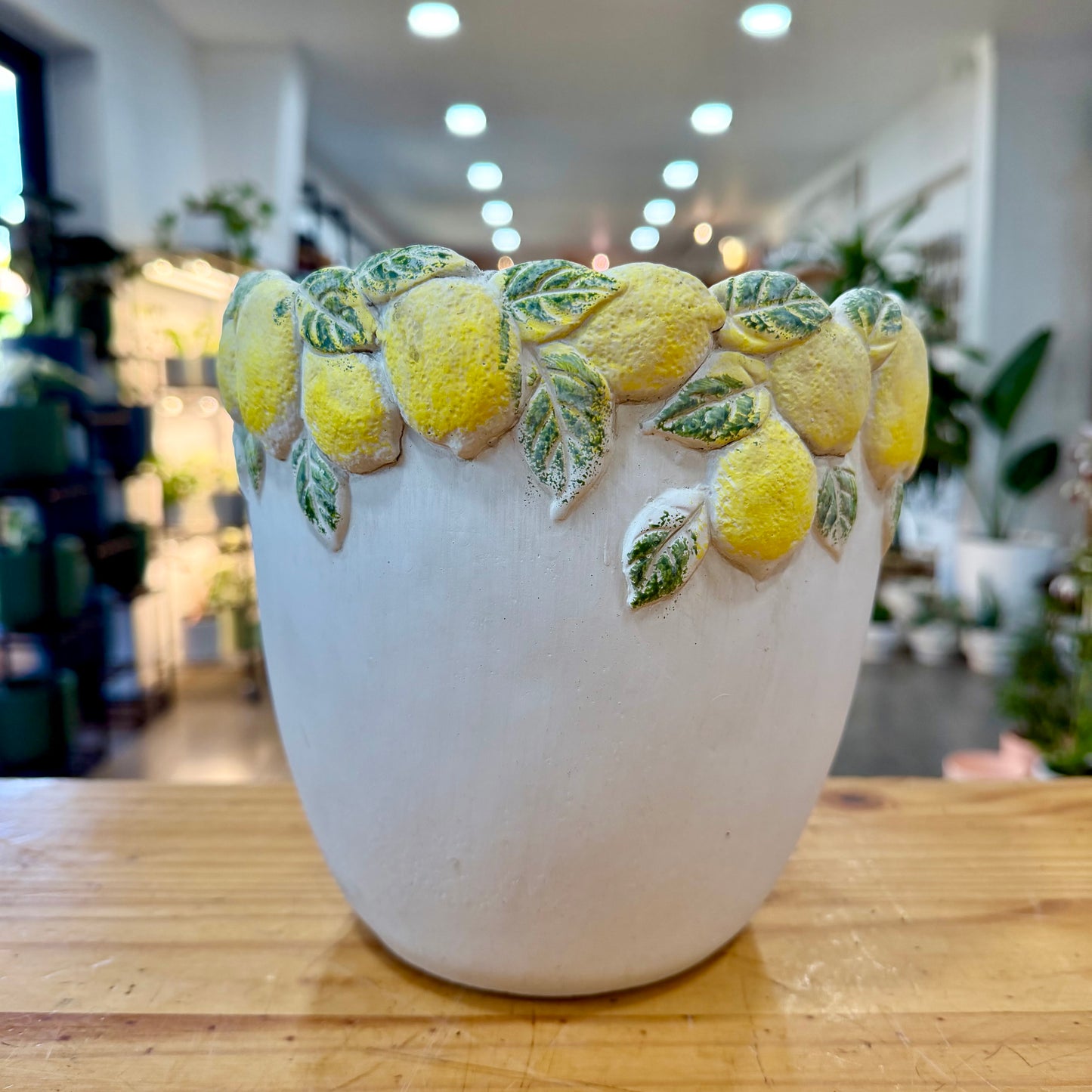 Cedrate Cement Pot