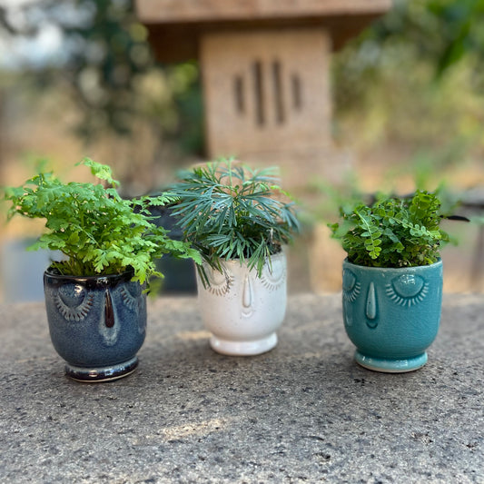 2" Ceramic Face Planter