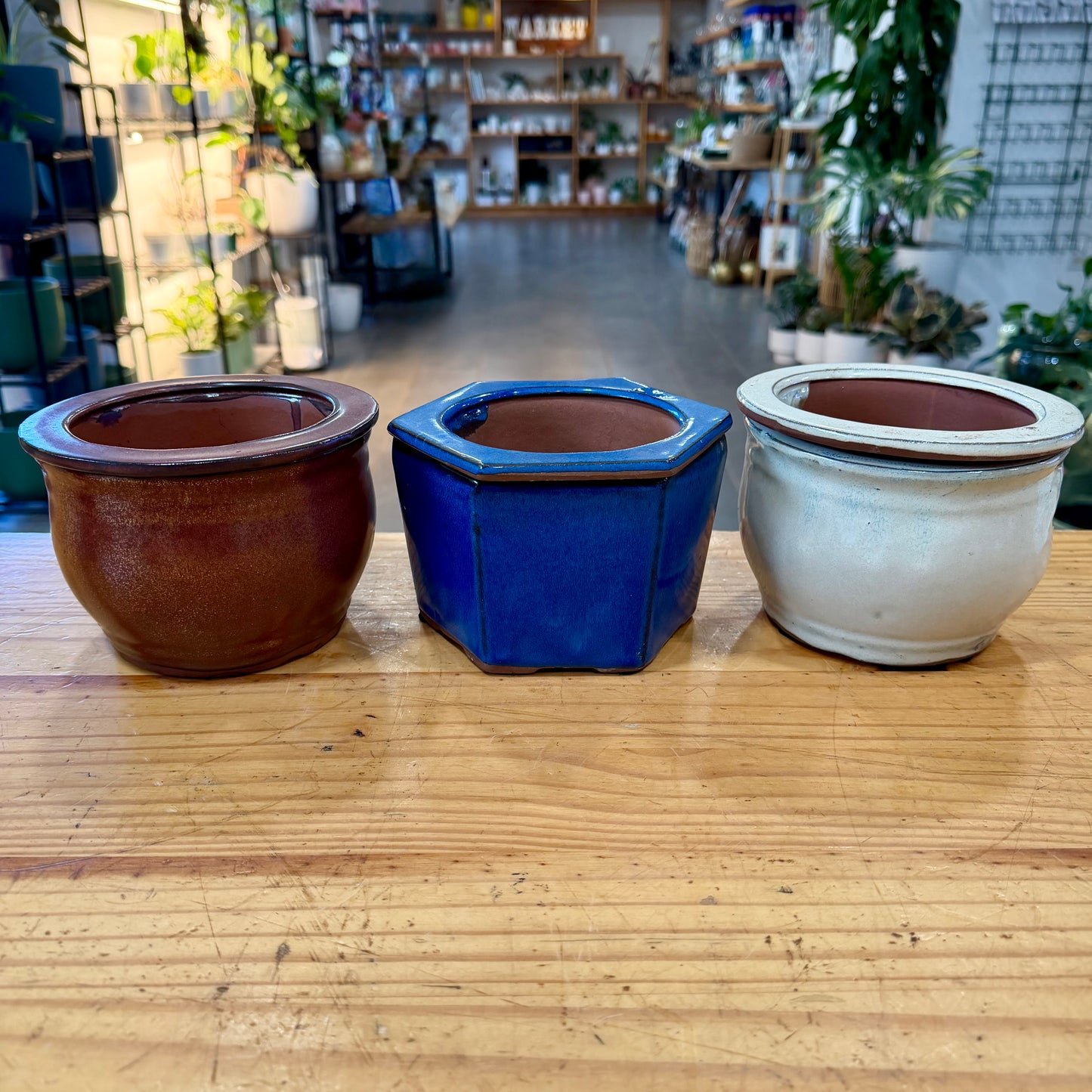 Ceramic Self Watering Planter