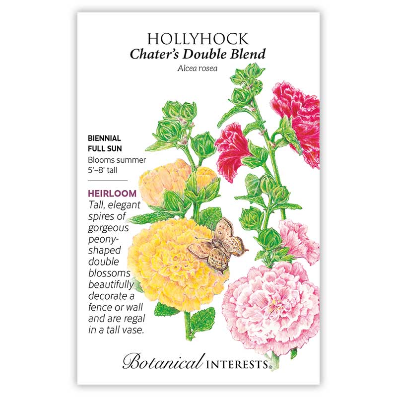 Chater's Double Hollyhock