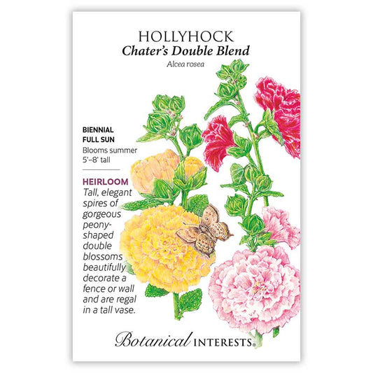Chater's Double Hollyhock