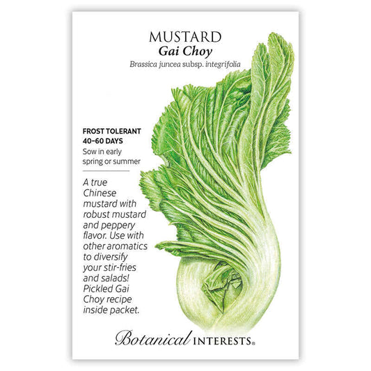 Mustard Cabbage seeds, "Chinese Gai Choy"