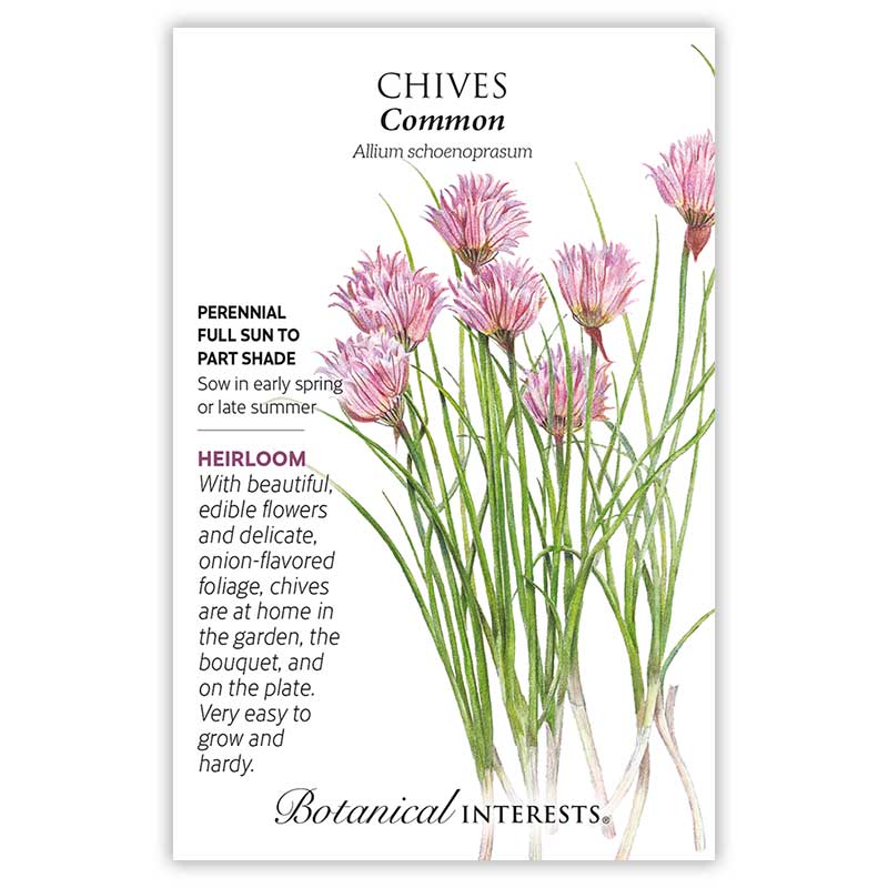 Chives seeds, "Common"