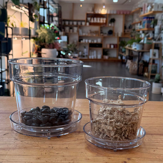 Clear Plastic Planter