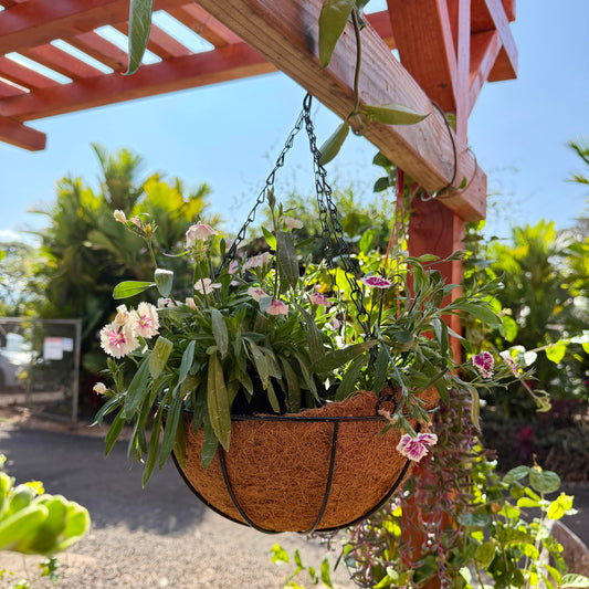 10" Metal Hanging Basket with Coco Liner