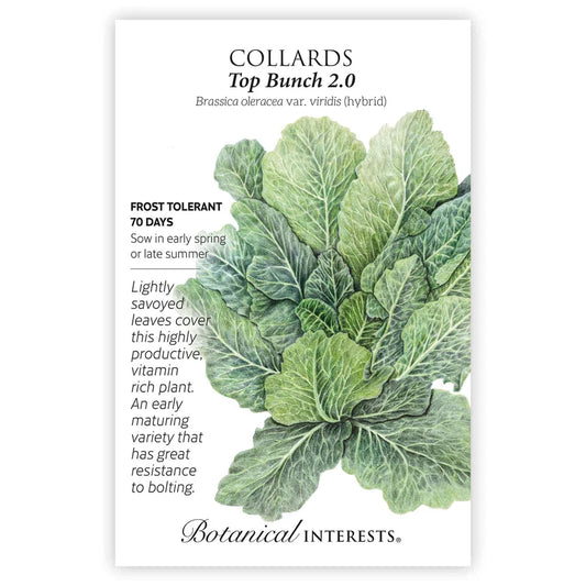 Collards seeds 'Top Bunch'