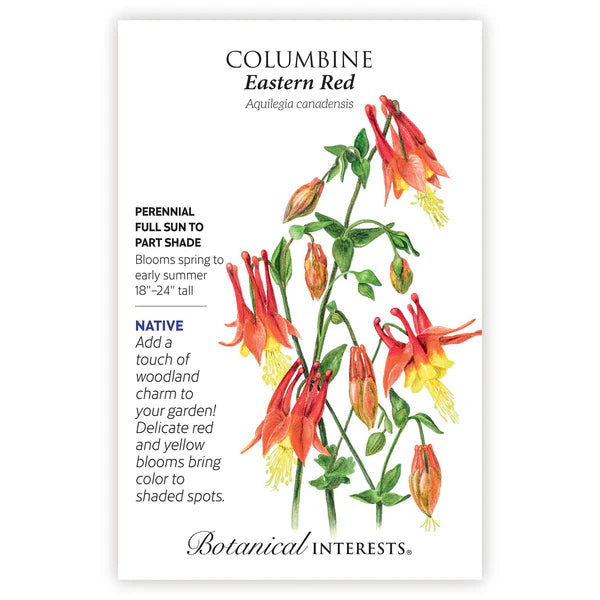 Columbine seeds, "Eastern Red"