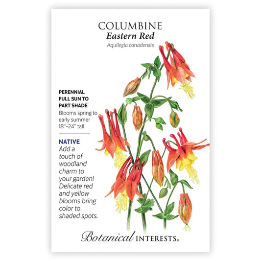 Columbine seeds, "Eastern Red"
