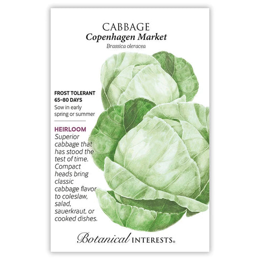 Cabbage seeds 'Copenhagen Market'