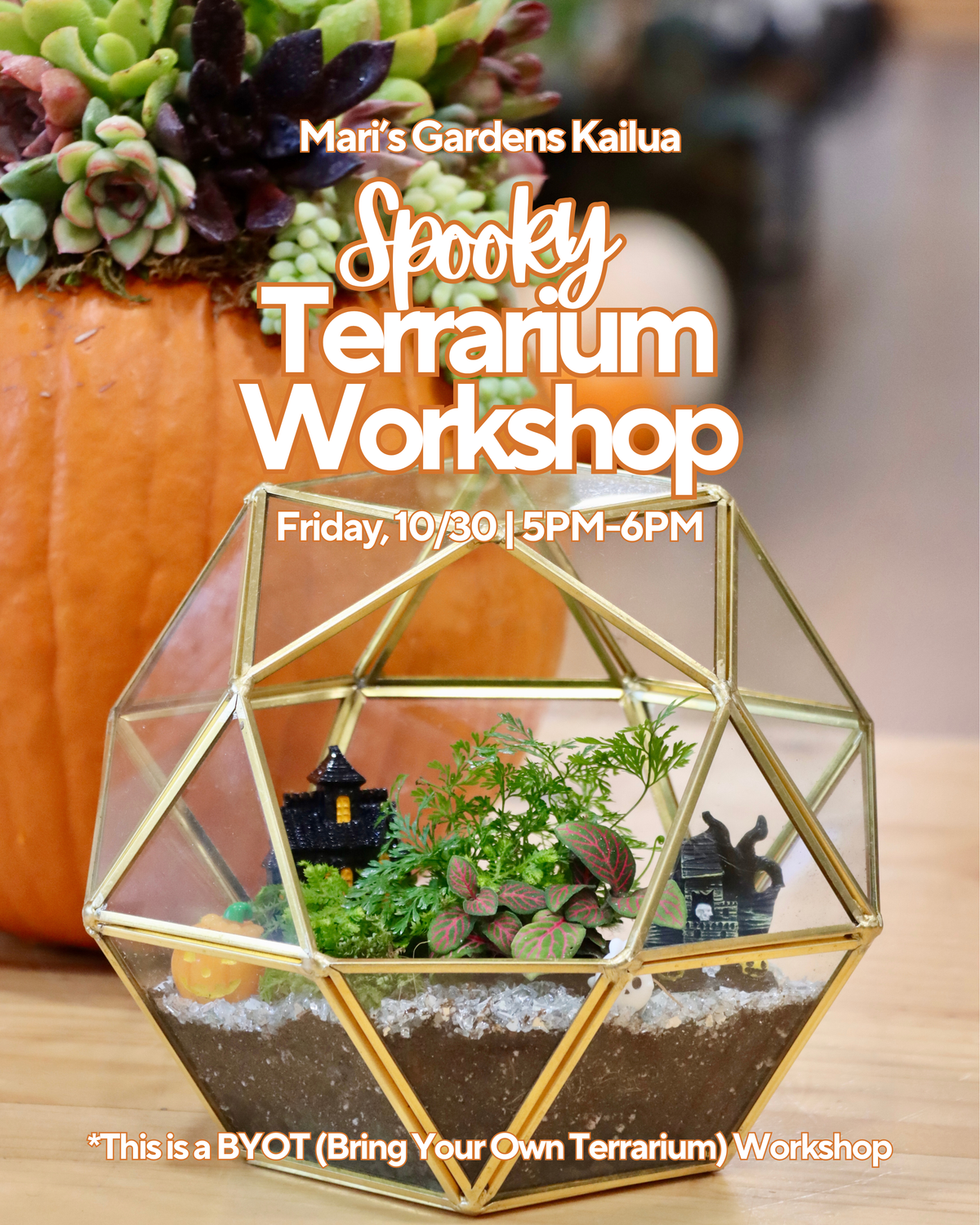 10/30 Spooky BYOT (Bring Your Own Terrarium) Workshop (Kailua)