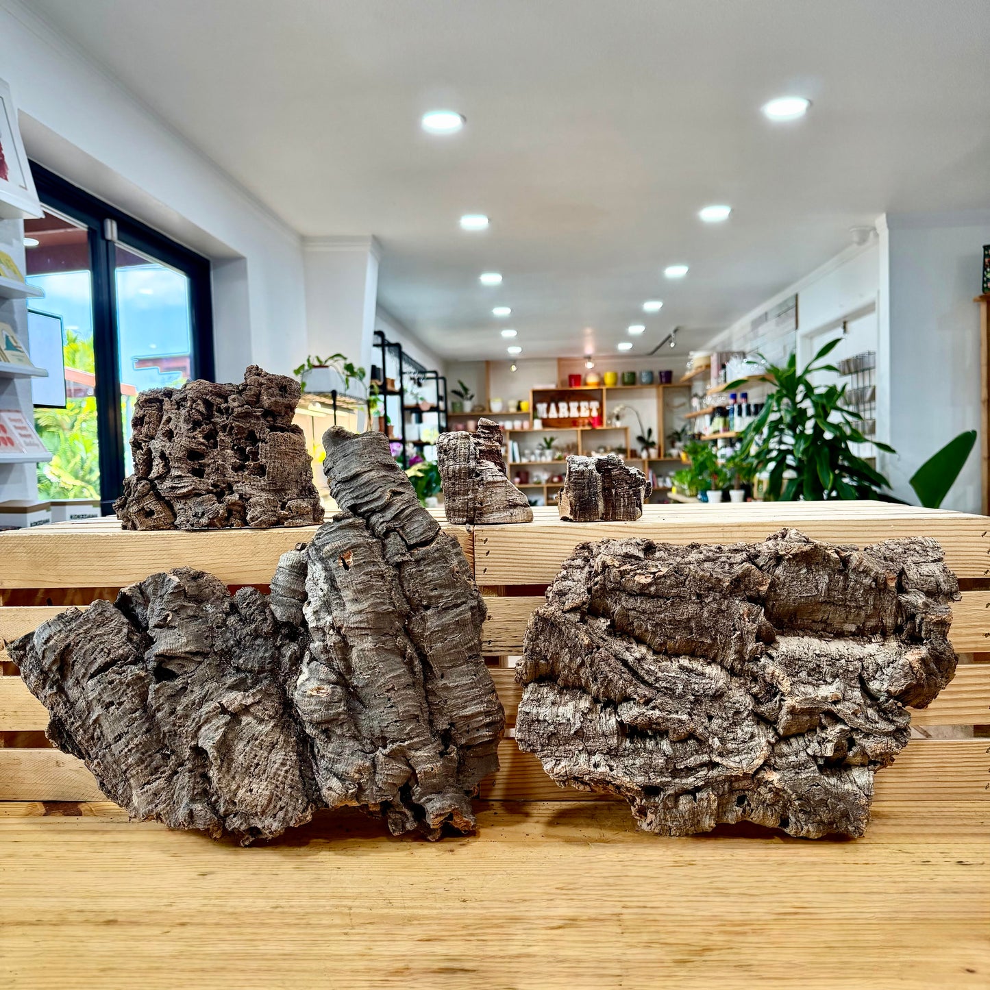 Cork Bark