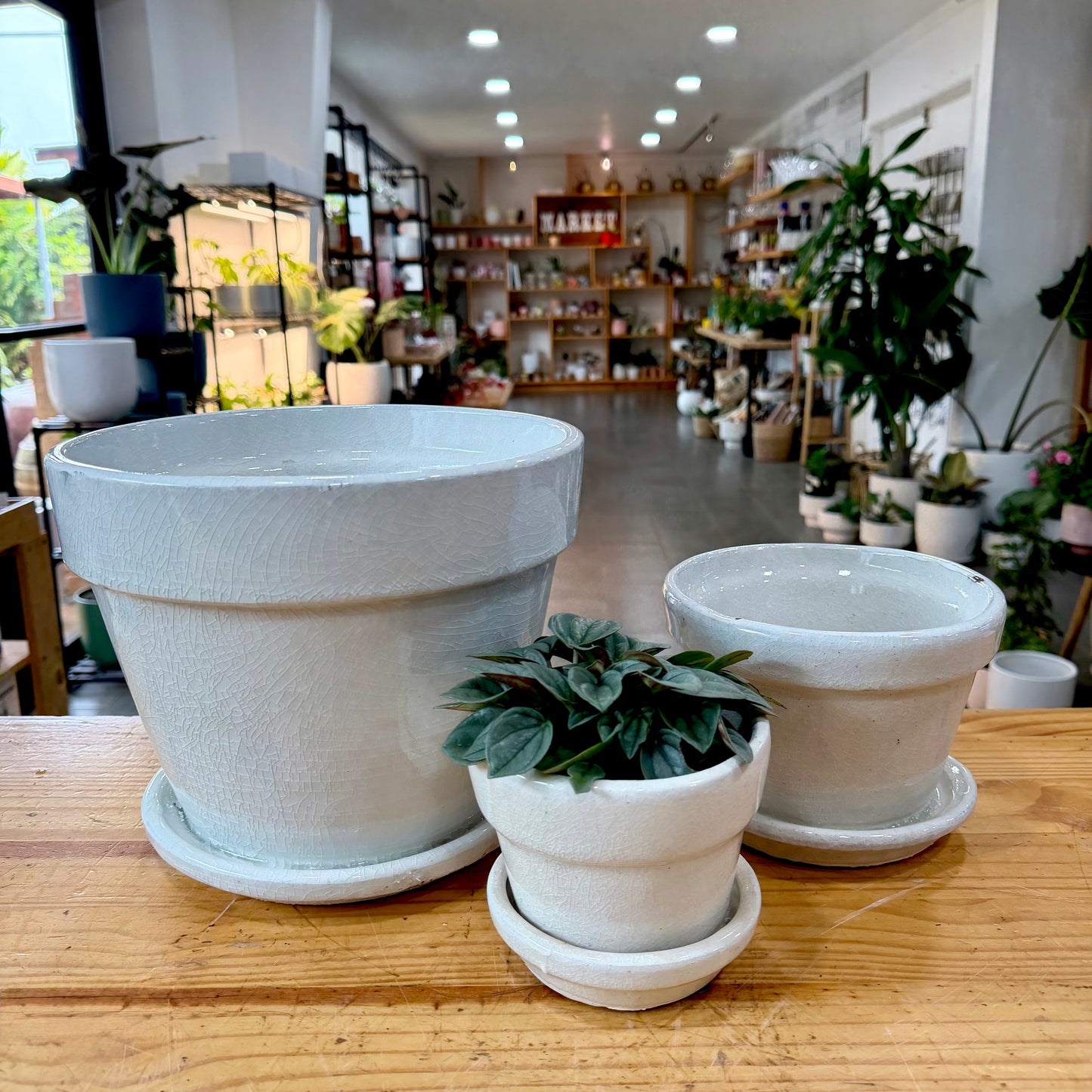 Crackle Floral Pot
