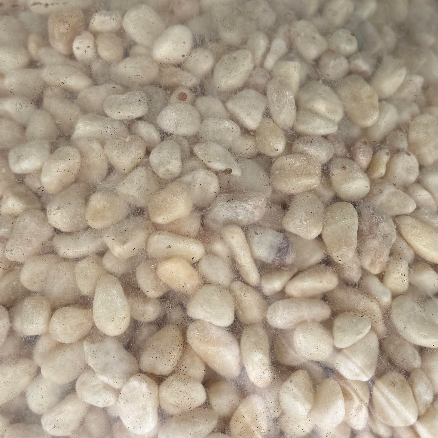 River Rocks